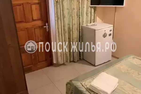 «Виноградная лоза» «Виноградная лоза»