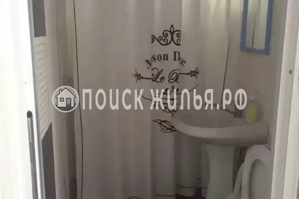 «Виноградная лоза» «Виноградная лоза»