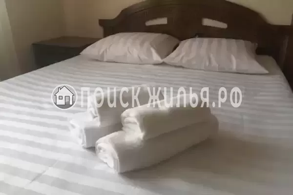 «Виноградная лоза» «Виноградная лоза»