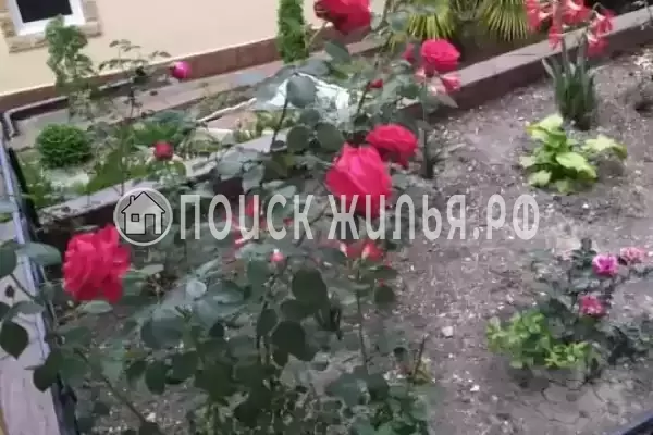 «Ставрополье»