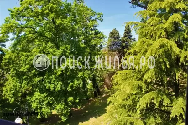 «Жемчужина»