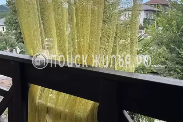 «Верные друзья» «Верные друзья»