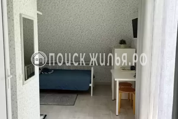 «Верные друзья» «Верные друзья»