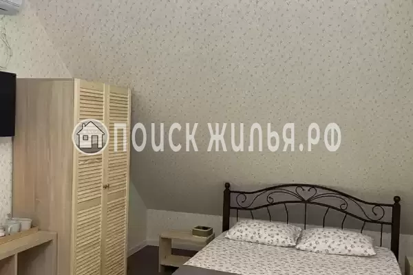 «Верные друзья» «Верные друзья»