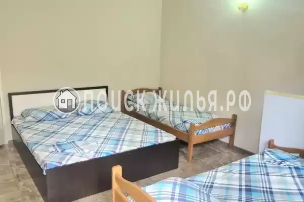 «Киви» «Киви»