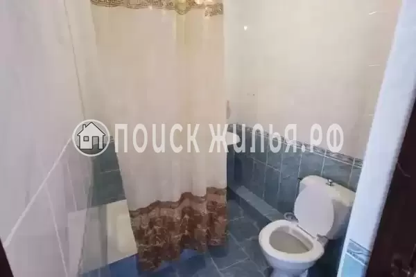 «Киви» «Киви»