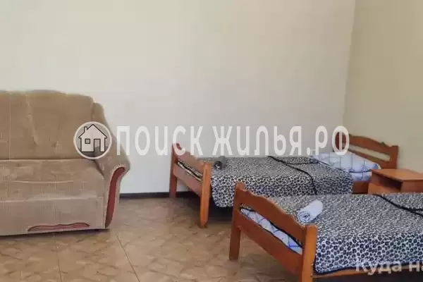 «Киви» «Киви»