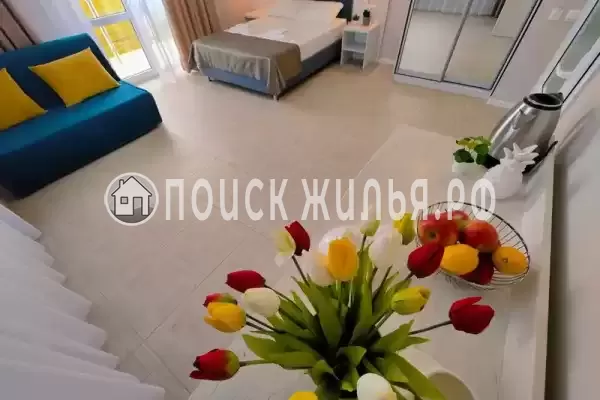 «Прайм» «Прайм»