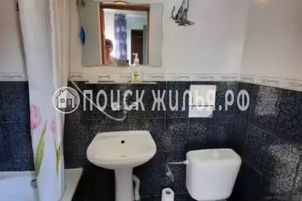 «Мини пальма»