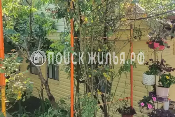 «Алла-Роза»