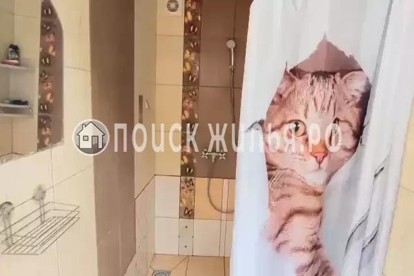 «Алла-Роза»