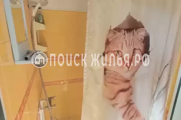 «Алла-Роза»