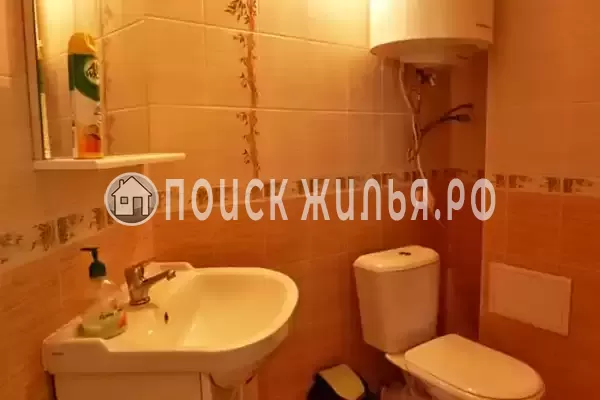 «Алла-Роза»