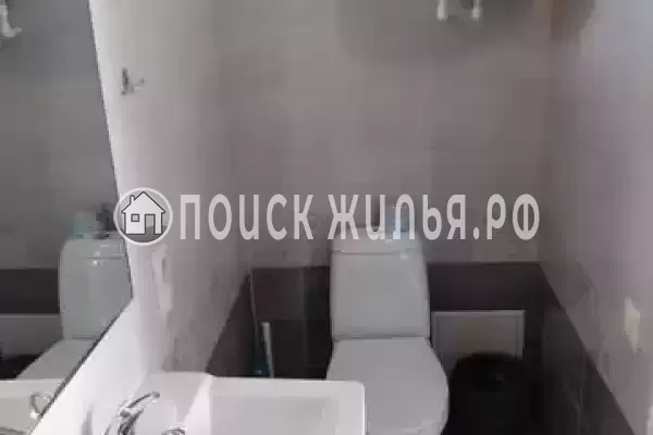 «Золотая рыбка» «Золотая рыбка»