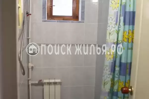 «Белый ирис»