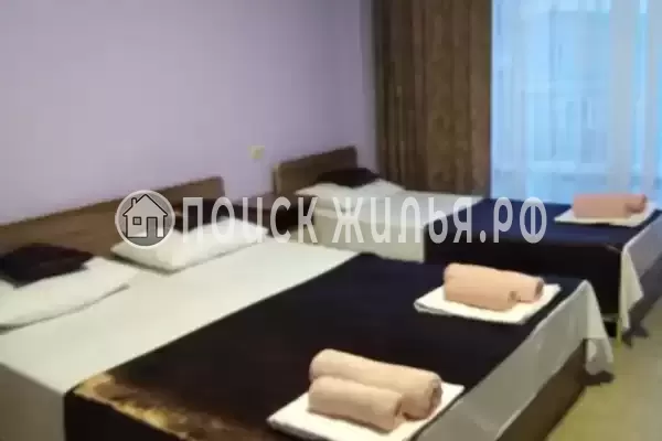 Гостевой дом «Орлинка» Гостевой дом «Орлинка»