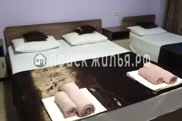 Гостевой дом «Орлинка» Гостевой дом «Орлинка»