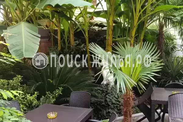 «Райский уголок» «Райский уголок»