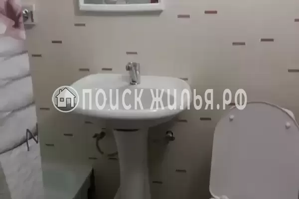 «Цоев ковчег» «Цоев ковчег»