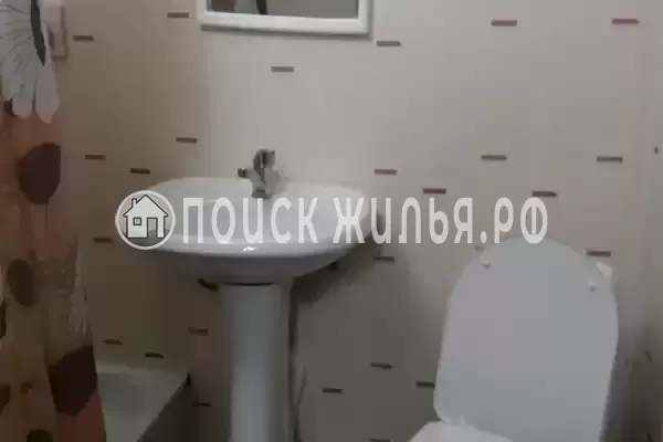 «Цоев ковчег» «Цоев ковчег»