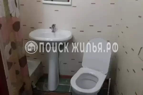 «Цоев ковчег» «Цоев ковчег»