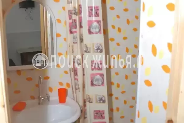 «Цоев ковчег» «Цоев ковчег»