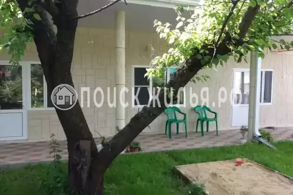 «Цоев ковчег» «Цоев ковчег»