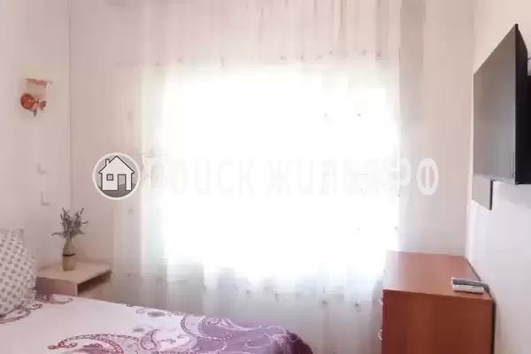 «Цоев ковчег» «Цоев ковчег»