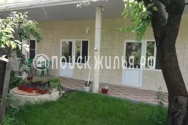 «Цоев ковчег» «Цоев ковчег»