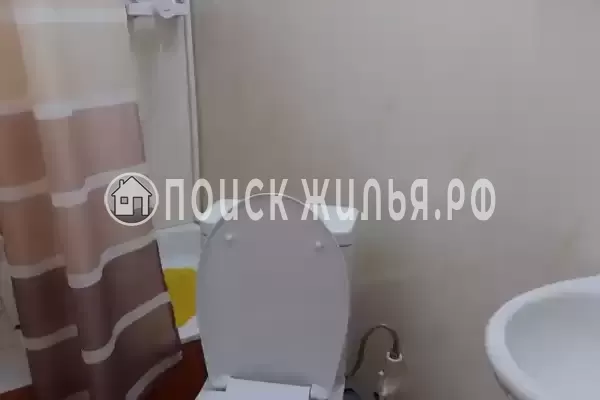 «Цоев ковчег» «Цоев ковчег»