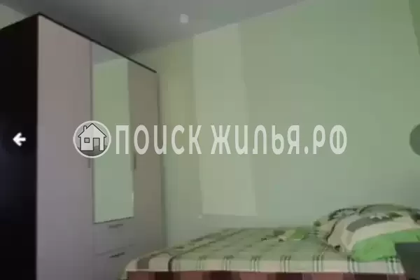 «Камелия» «Камелия»