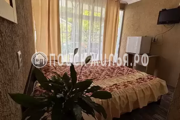 «Ника» «Ника»