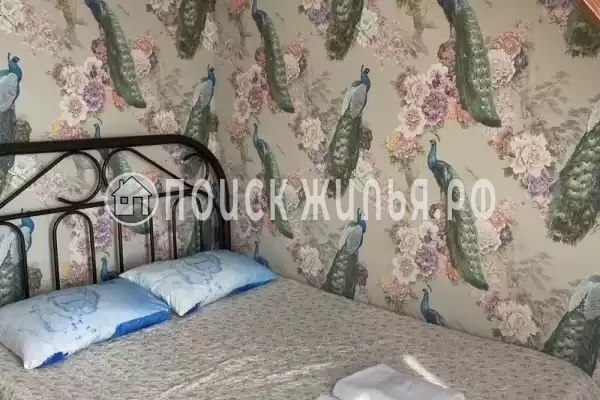 «Ника» «Ника»