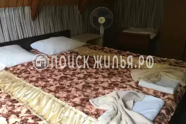 «Ника» «Ника»