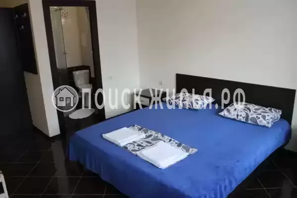 «Лесная сказка»