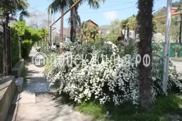 «Хижина Чука» «Хижина Чука»