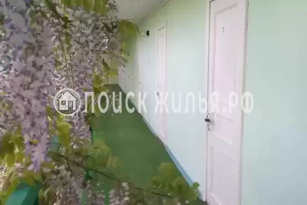 «Незабываемое лето»