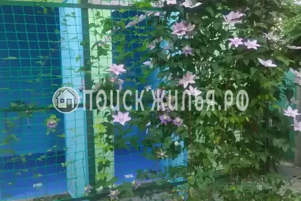 «Незабываемое лето»