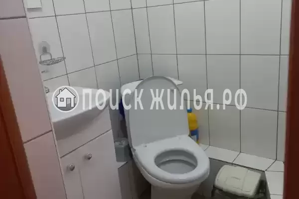 «Кипарис» «Кипарис»