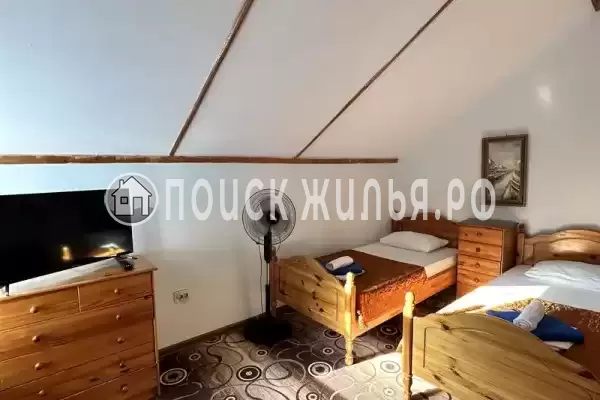 База отдыха «Динамо 1»