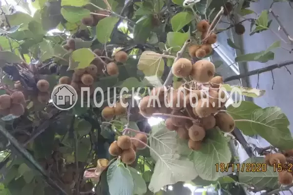 Частный сектор «У моря» Частный сектор «У моря»