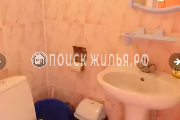 «Морской утес» «Морской утес»