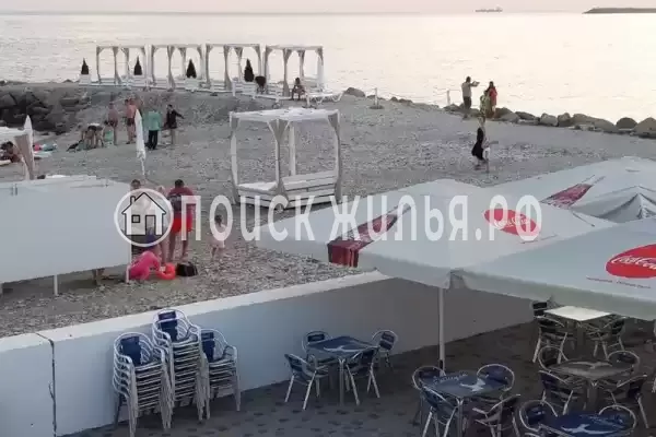 «Вишнёвый сад» «Вишнёвый сад»