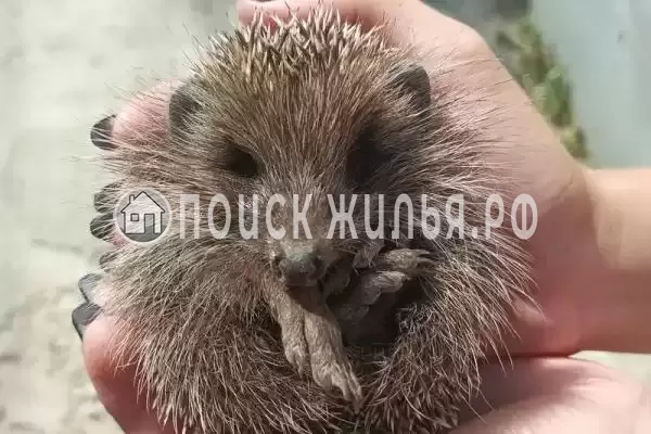 Частный сектор «Коттедж под ключ» Частный сектор «Коттедж под ключ»