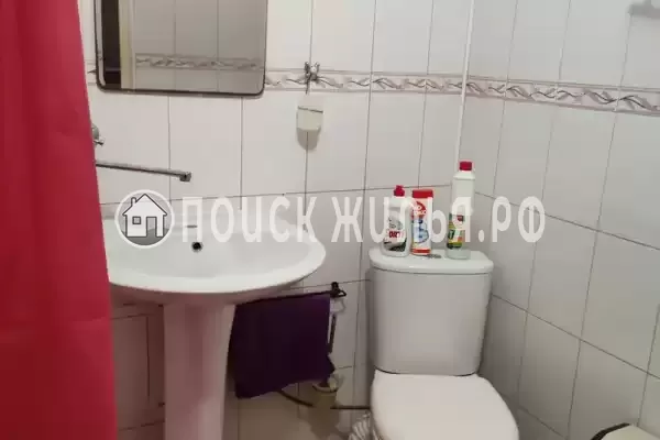 «Живой уголок»