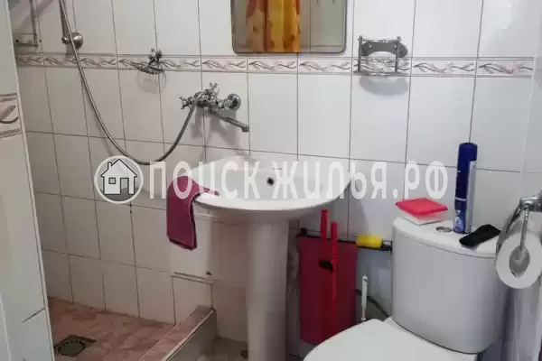 «Живой уголок»