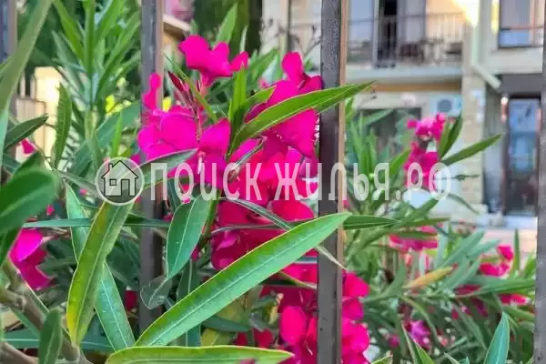 Квартира «На чистой»