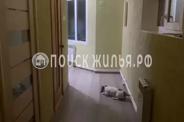 «Под шелковицей»