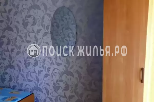 «Алина» «Алина»