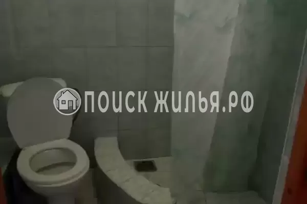 «Алина» «Алина»